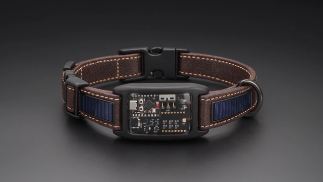 GloPaw tracking collar