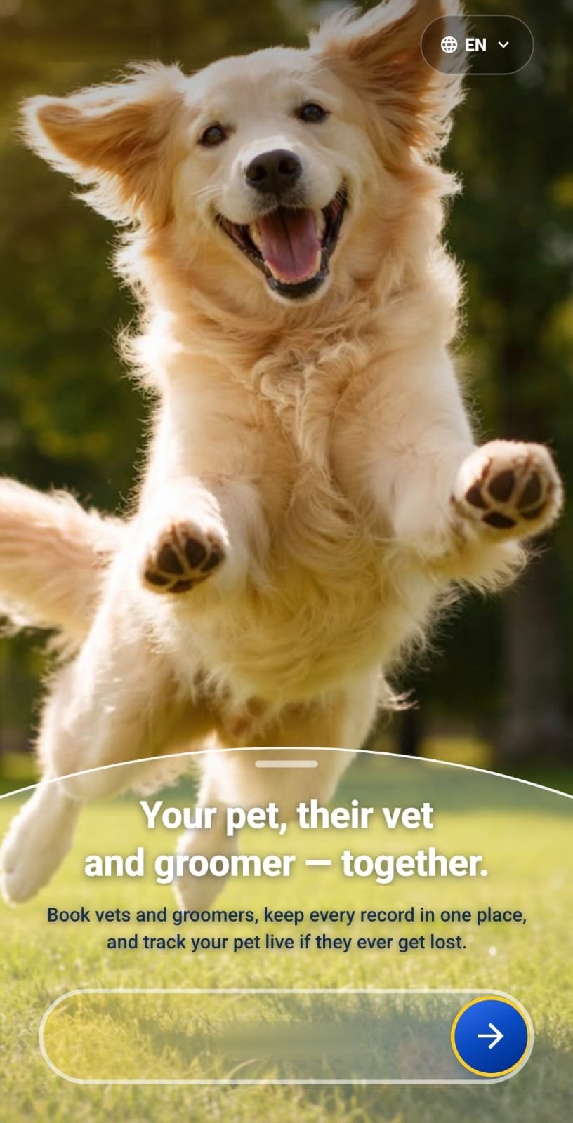 Willkommensbildschirm der App: Tier, Tierarzt und Salon an einem Ort