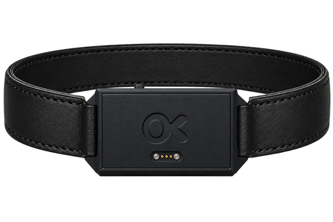 Tracking collar